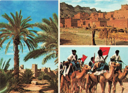 MAROC - Sud Marocain - Ksour  Et Kasbah Dans La Vallée Du Draa - Aux Portes Du Désert - Animé - Colorisé - Carte Postale - Other & Unclassified