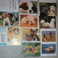 Petit Calendrier Poche Lot De 10 Petits Calendriers Chien Chiot 2001 à 2003 - Kleinformat : 2001-...