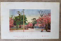 CPA Carte Postale Japon Japan Ninomiya Park Arbre Timbre - Autres & Non Classés