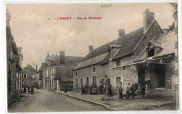 CANGEY RUE DE MONTEAUX COMMERCES TRES JOLI PLAN ANIMEE - Autres & Non Classés