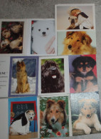 Petit Calendrier Poche Lot De 10 Petits Calendriers Chien Chiot 1999 à 2000 - Formato Piccolo : 1991-00