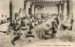 06 - Grasse - Triage Des Roses - Animée - CPA - Voir Scans Recto-Verso - Grasse