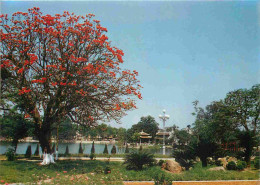 Vietnam - Hanoï - Tran Ba Dinh - The Ba Dinh Screen - CPM - Carte Neuve - Voir Scans Recto-Verso - Vietnam