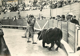 Corrida - Mort Du Taureau - Le Taureau S'écroule Aux Pieds Du Matador - CPM - Voir Scans Recto-Verso - Corrida