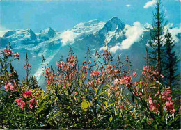 74 - Chamonix - Mont-Blanc - La Floraison Des Phlox Sauvages Face Au Mont-Blanc - Flamme Postale - CPM - Voir Scans Rect - Chamonix-Mont-Blanc