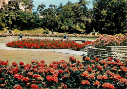 69 - Lyon - Parc De La Tete D'Or - La Roseraie - Fleurs - Carte Neuve - CPM - Voir Scans Recto-Verso - Sonstige & Ohne Zuordnung