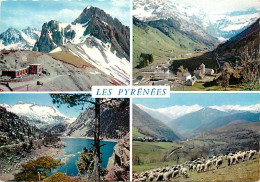 65 - Hautes Pyrénées - Multivues - Moutons - CPM - Voir Scans Recto-Verso - Other & Unclassified