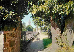 52 - Bourbonne Les Bains - L'Eglise Vue Du Parc De L'Hôtel De Ville - CPM - Voir Scans Recto-Verso - Bourbonne Les Bains