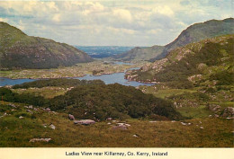 Irlande - Kerry - Killarney - Ladies View Near Killamey - Ireland - CPM - Voir Scans Recto-Verso - Kerry