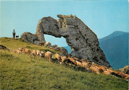 38 - Isère - Le Dauphiné - Alpage à La Roche Percée, Une Des Sept Merveilles Du Dauphiné - Moutons - Carte Neuve - CPM - - Autres & Non Classés