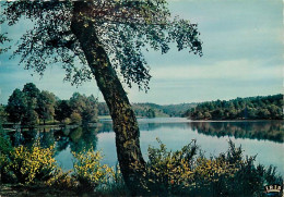 19 - Corrèze - Le Lac Au Miroir D'argent - Près De Meymac - Carte Neuve - CPM - Voir Scans Recto-Verso - Autres & Non Classés
