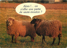 Animaux - Moutons - Carte Humoristique - Alors On S'offre Une Partie De Saute-mouton - CPM - Voir Scans Recto-Verso - Andere & Zonder Classificatie