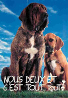 Animaux - Chiens - Race à Définir - CPM - Voir Scans Recto-Verso - Chiens