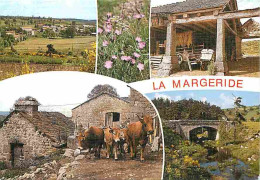 Animaux - Vaches - Auvergne - Les Monts De La Margeride - Multivues - CPM - Voir Scans Recto-Verso - Kühe