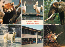 Animaux - Zoo De Bale - Zoo Basel - Multivues - CPM - Carte Neuve - Voir Scans Recto-Verso - Autres & Non Classés