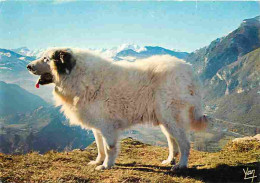 Animaux - Chiens - Chien Des Pyrénées - CPM - Voir Scans Recto-Verso - Chiens