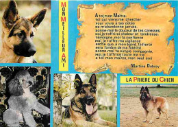 Animaux - Chiens - La Prière Du Chien - Multivues - CPM - Voir Scans Recto-Verso - Chiens