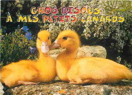 Animaux - Oiseaux - Canards - Canetons - CPM - Voir Scans Recto-Verso - Oiseaux