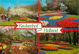 Pays-Bas - Nederland - Holland In Bloementooi - La Hollande En Parure De Fleurs - Multivues - CPM - Voir Scans Recto-Ver - Autres & Non Classés
