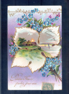 Carte Illustrée Gauffrée. Bouquet De Fleurs Et Paysage - Flores