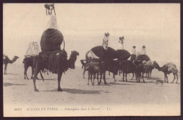 ALGERIE PALANQUINS DANS LE DESERT - Scene & Tipi