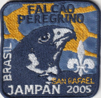 BRASIL  --   FALCAO   PEREGRINO  JAMPAN 2005  --  SAN RAFAEL  --   SCOUTISME, JAMBOREE  --  OLD PATCH - Scouting