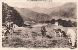 FRANCE - La Vallée De Chaudefour - Troupeau - Carte Postale Ancienne - Other & Unclassified