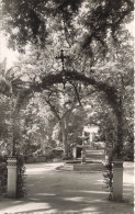 ESPAGNE - Sevilla - Jardines De Murillo - Murillo Gardens - Carte Postale - Sevilla (Siviglia)