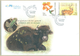 TURKEY 2022 MNH LIFE IN NATURE HUMMINGBIRD FLOWER IMPALA BIRDS FDC FIRST DAY COVER - Cartas & Documentos