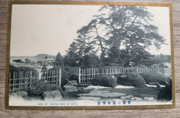 CPA Carte Postale Japon Japan View Of Tokiwa Park Of Mito Arbre - Other & Unclassified