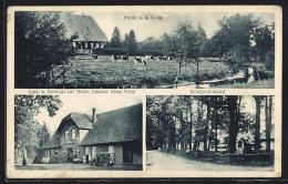 AK Lohheide, Gast- & Kurhaus Zur Heide, Inhaber Ernst Feise, Kriegerdenkmal & Partie An Der Meisse  - Sonstige & Ohne Zuordnung