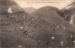 FRANCE - Le Mont Dore - Pâturage Au Sancy - Carte Postale Ancienne - Le Mont Dore