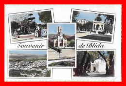 CPSM/pf BLIDA (Algérie)  Souvenir De Blida, Multivues. *9068 - Blida