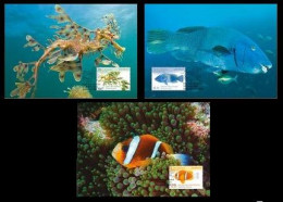 Australia 2024. 3 Maxicard (Maximum Cards). Marine Emblems. Fish. Fauna. - Ongebruikt