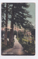 CYPRUS FOSCOLO POSTCARD TROODOS EARLY COLOURED SERIES SERIAL NO 155784 - Cyprus