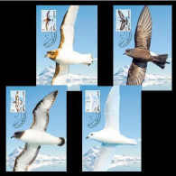 Australian Antarctic Territory (AAT) 2024. 4 Maxicard (Maximum Cards). Petrels. Fauna. Birds - Ungebraucht