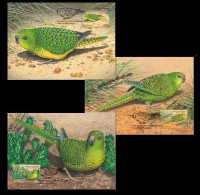 Australia 2024. 3 Maxicard (Maximum Cards). Ground Parrots. - Nuovi