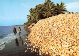 ANTILLES - Haiti - Ca Ira Nera Leogane - Millions Of Discarded Conch Shells - Animé - Carte Postale Ancienne - Haití