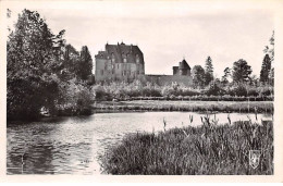 58 - CHATILLON EN BAZOIS - SAN43728 - Le Château Et L'Aron - Chatillon En Bazois