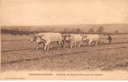 58 - CHATEAU CHINON - SAN65396 - Attelage De BOeufs Nivernais Au Labour - Agriculture - Chateau Chinon