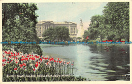 R148150 Buckingham Palace From St. James Park. London - Andere & Zonder Classificatie