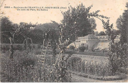 60 - GOUVIEUX - SAN55398 - Environs De Chantilly - Un Coin Du Parc - Les Serres - Gouvieux