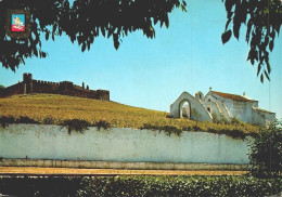 SANTIAGO DO CACÉM, Setúbal - Igreja Matriz E Castelo  (2 Scans) - Setúbal