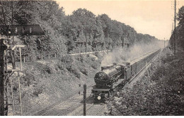60 - N°86095 - Région Du Nord 47 - Un Train De Courses Paris-Chantilly Dans La Forêt De CHANTILLY -Machine Consolidation - Chantilly
