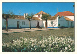 PORTO COVO, Sines, Setúbal - Casas Típicas  (2 Scans) - Setúbal