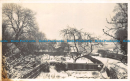R147651 Old Postcard. Winter Scene. Trees And Garden In Snow. 1940 - World