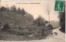 60.LA VALLEE DE TAUSSACQ,PRES GRANDVILLIERS. - Other & Unclassified