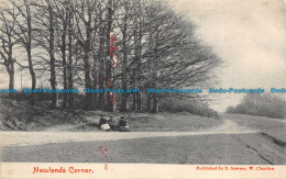 R147664 Newlands Corner. S. Sawyer. 1905 - World