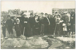 62.BERCK.n°13443.SUR LA PLAGE.CP PHOTO - Berck