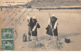 62.AM18873.Berck-plage.N°31.Les Verrières.Agriculture - Berck